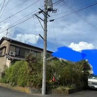 ブログ画像